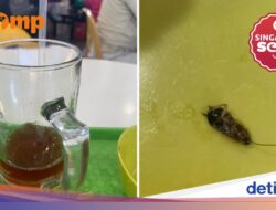 Hiii! Wanita Ini Hampir Telan Kecoak Pada Minum Teh