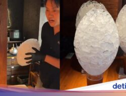 Lagi Viral! Iceberg Americano Pakai Bongkahan Es Jumbo Mirip Gunung