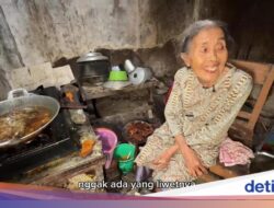 Salut! Nenek 73 Tahun Ini Sudah 30 Tahun Jualan Puyuh Goreng Rp7 Ribuan