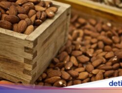 Bukan Emas! Pencuri Ini Bawa Kabur Kacang Almond Senilai Rp7,2 M!