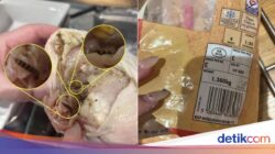 Ngeri! Ayam Potong Di Supermarket Ini Dipenuhi Cacing