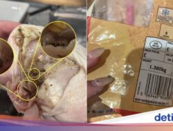 Ngeri! Ayam Potong Di Supermarket Ini Dipenuhi Cacing